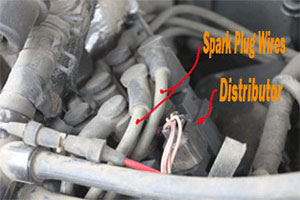 Distributor and spark plug wires