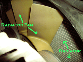 Engine radiator and fan
